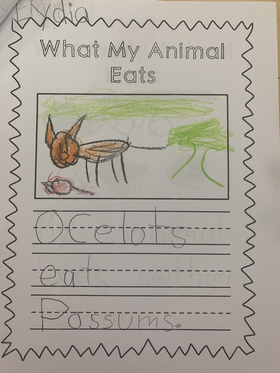 JohnstonsClass's tweet photo. We worked hard on our animal research. @WoodwayElem https://t.co/eTUb56Uj5E