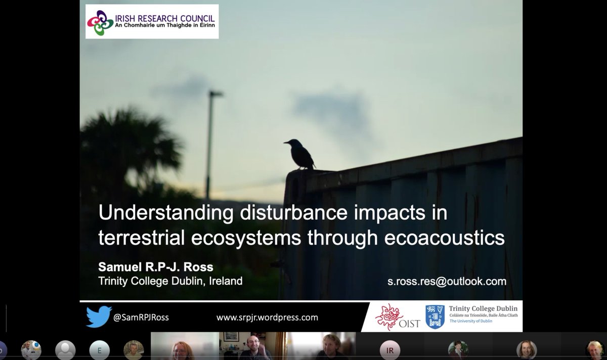 Outside my field but such a cool talk from <a href="/SamRPJRoss/">Dr Sam Ross</a> <a href="/tcddublin/">Trinity College Dublin</a> &amp; <a href="/OISTedu/">Okinawa Institute of Science and Technology (OIST)</a> for our <a href="/CRIB_UWE/">The Centre for Research in Biosciences</a> seminar today! 👏Monitoring biodiversity using bioacoustics and soundscape analysis. A pleasure to host you (virtually)! (just a shame we couldn't go for a umeshu afterwards...)