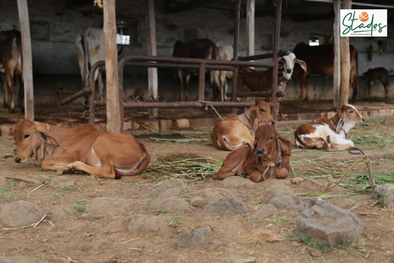 30stades's tweet photo. An incident became the turning point in the life of organic farmer Jayant Barve. Read his story here: https://t.co/zMRAIou216
#Organicfarming #farmingworld #Indianorganicfarming #30stades https://t.co/BMXmdSqy6u