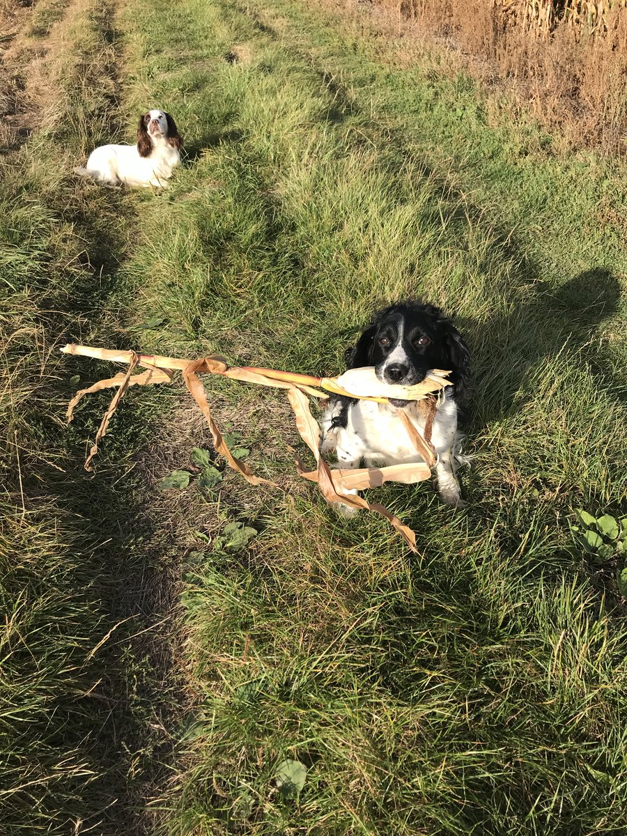 Nick Marshall tweet media