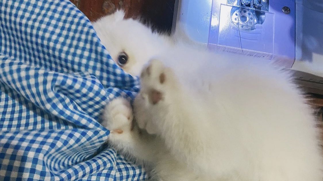 มามินะ ตัดผ้าพันคอให้บี๋ไว้ตั้มแต่เล้กๆเนยนะ