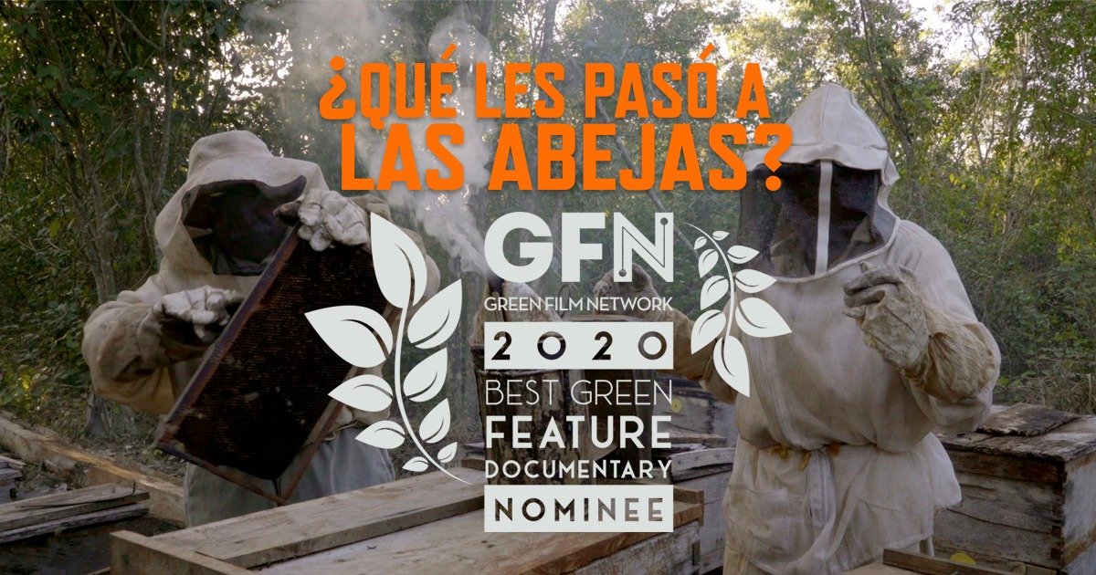 IMCINE (@imcine) on Twitter photo 🐝¡Qué emoción! Le deseamos mucho éxito a <a href="/Abejas_Doc/">¿Qué les pasó a las abejas? - Documental</a> por su nominación en la categoría Best Green Feature Documentary del <a href="/GreenFilmNet/">Green Film Network</a>.
#VeamosLoNuestro 🐝¡Qué emoción! Le deseamos mucho éxito a <a href="/Abejas_Doc/">¿Qué les pasó a las abejas? - Documental</a> por su nominación en la categoría Best Green Feature Documentary del <a href="/GreenFilmNet/">Green Film Network</a>.
#VeamosLoNuestro