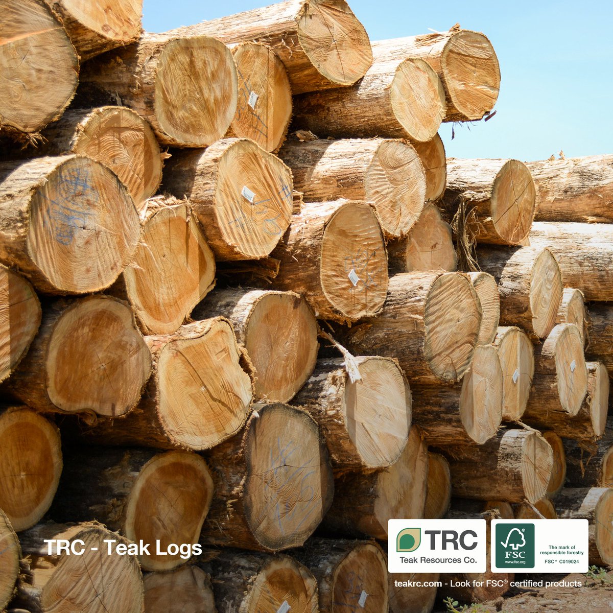 teakrc's tweet photo. We supply wood only from certified forests, guaranteeing the highest standards of responsible forest management.

Know more → https://t.co/YBYCPj2yym

#TRC #TeakResourcesCo #Teak #FSC #CertifiedProduct #Wood #Teakwood https://t.co/3eYTEcLScE