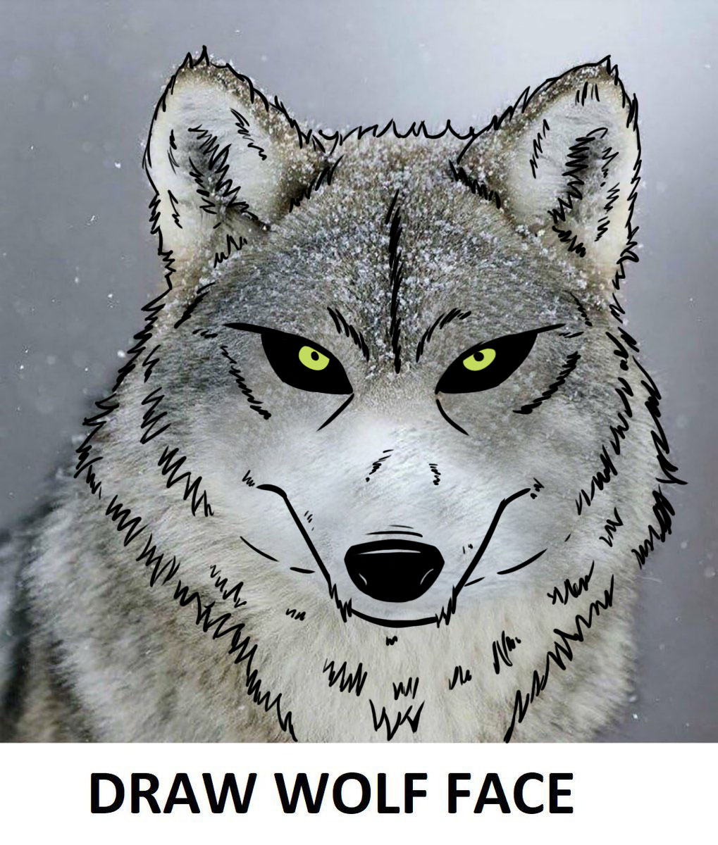 crooked_hound's tweet photo. Finally got around to doing another wolf face, this time something more "intense"
#art #drawing #sketch #drawwolfface #wolfface #artchallenge https://t.co/MUK7IxXz54
