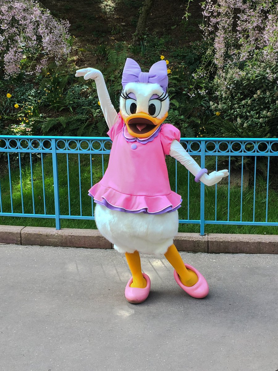 CharactersPBlog's tweet photo. Pink dress? Check! Pink shoes? Check! Pink flowers blooming? Check, check, check! Should Daisy Duck be running for miss Spring 2021? ✨🌸
#disneyclassics #DisneyThrowbacks #bestfriends #seeyarealsoon #disneylandparis #DisneyParks #DaisyDuck #springtime #sunnyday #disneyducks https://t.co/NHYY25WrH8