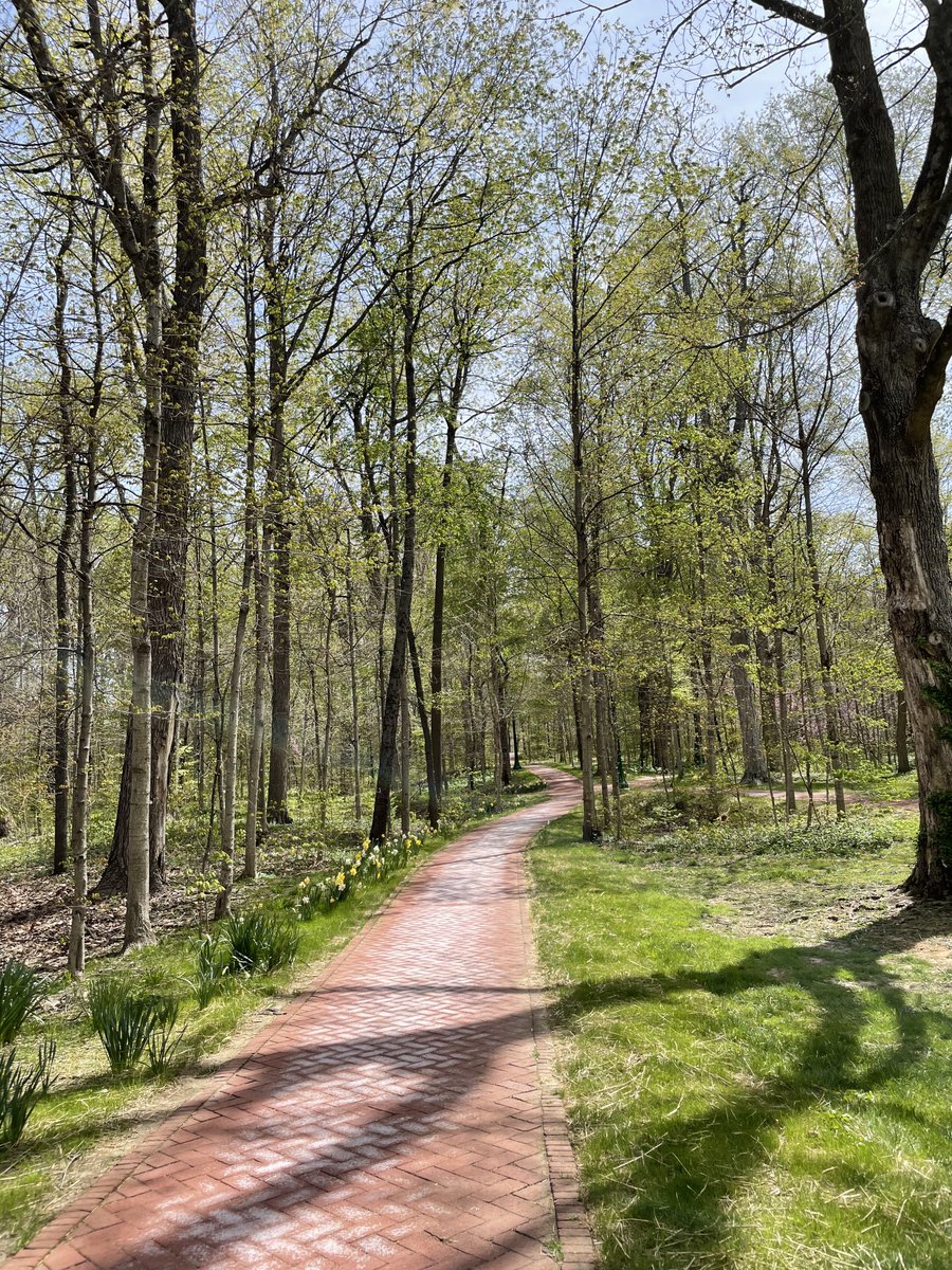 IU_Interp_Class's tweet image. The trees are getting their leaves in Dunn Woods! Be sure to check out the different species that call Dunn Woods home. Learn more about some of the species here ~ interpretthisblog.wordpress.com/2021/04/16/dun…
 #iubloomington #interpretthis