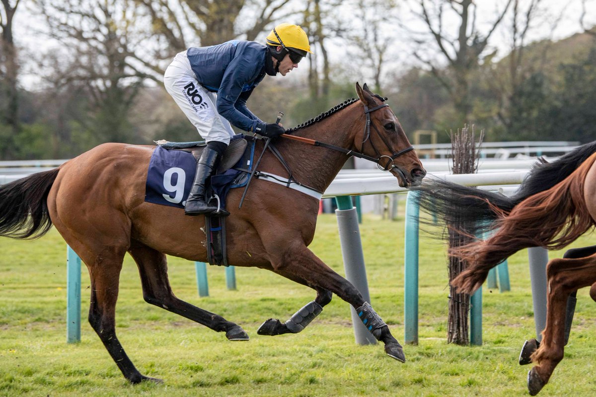 RACE 5 RESULT – bestbettingsites.co.uk Handicap Hurdle

🥇 Soarlikeaneagle
🥈 Lawtop Legend
🥉 Felton Bellevue

Jockey: James Davies

Trainer: Richard Rowe

Owners: Richard Rowe Racing Partnership

📸: <a href="/dcoolimages/">Darren Cool Images</a>