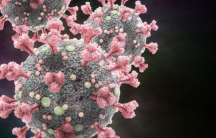 sbpdiscovery's tweet photo. .@thechandalab has identified interferon stimulating genes that control SARS-COV-2 replication. “We wanted to get a better understanding of the cellular response to the virus, including what drives a strong or weak response.” #COVID19 #FromResearch https://t.co/DRQSIqwgjl https://t.co/MRcqtVFfLW