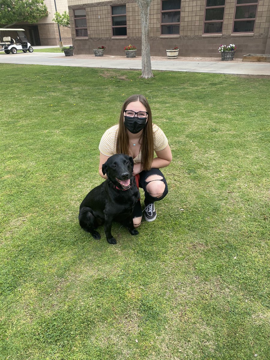 Preslieagostini's tweet image. Senior project presentations in full swing and we even got to pet this sweet rescued pup as part of the presentation! #bhs #seniorprojects