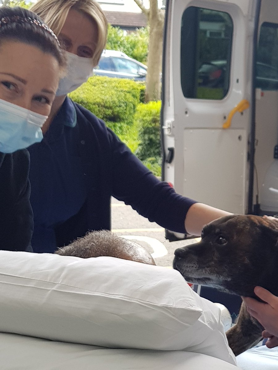 Flixyburrell's tweet photo. This is great care @Medway_NHS_FT @MedwayhospitalL Enabling this beautiful scene. A dog comforting his 'dad'. Look at the concern on his face https://t.co/cgNw8mSSfG