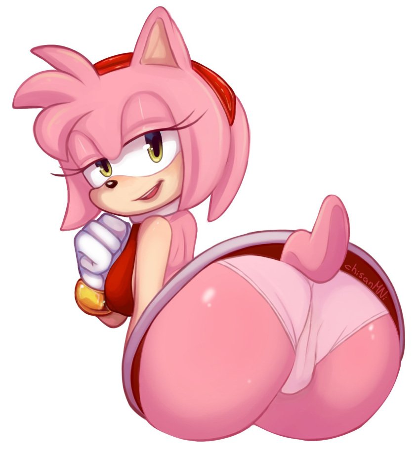 Amy Rose. 