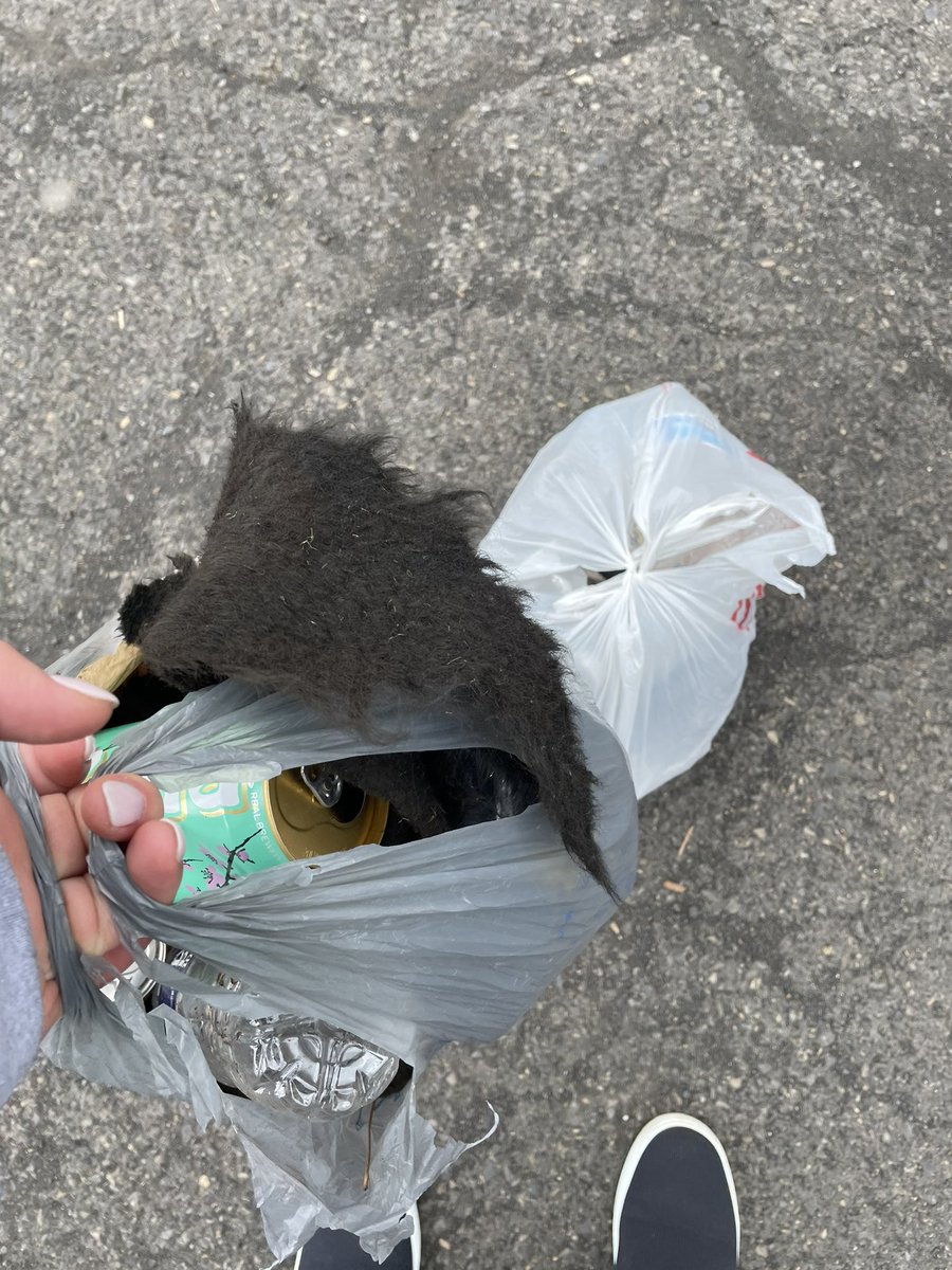 Ms. Jaclyn Parzanese tweet media