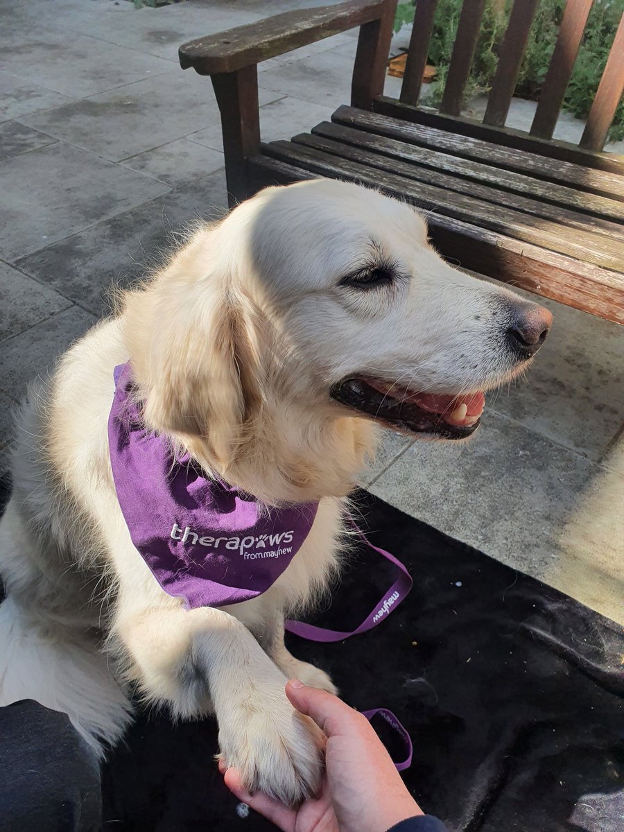 Aisling O' Donoghue (@aislingodonog11) on Twitter photo Thanks to <a href="/Andy95Smith/">Andy Smith ๐</a> and <a href="/ImperialCharity/">Imperial Health Charity ๐</a> for organising therapy dogs for staff today! Luna and Rhubarb from <a href="/themayhew/">Mayhew ๐ถ๐ฑ</a> were extremely good doggos ๐ถ๐ฅฐ Thanks to <a href="/Andy95Smith/">Andy Smith ๐</a> and <a href="/ImperialCharity/">Imperial Health Charity ๐</a> for organising therapy dogs for staff today! Luna and Rhubarb from <a href="/themayhew/">Mayhew ๐ถ๐ฑ</a> were extremely good doggos ๐ถ๐ฅฐ