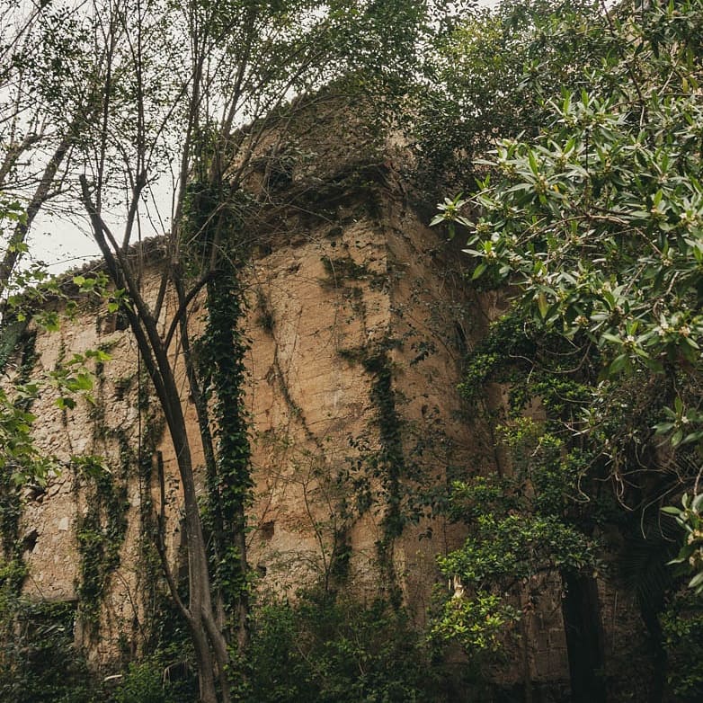 Monasterio Cotalba tweet media