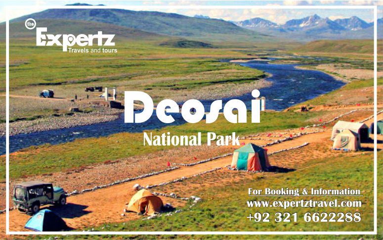ExpertzTravels's tweet photo. Deosai National Park
https://t.co/vA8HoHfHpC
+92 321 6622288
.
.
#Tours #tour #Cambridge #Lahore #Pakistan #Pakistani #punjab https://t.co/AzWVB9h3Jb