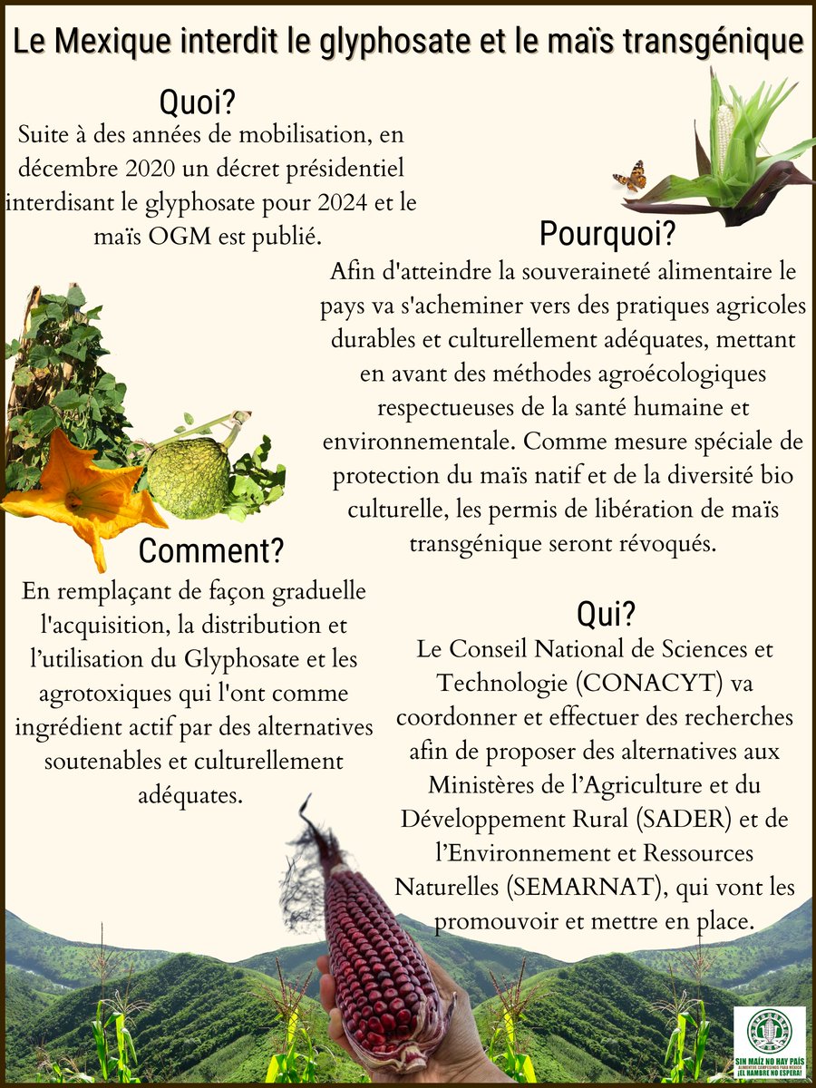 Suite à des années de mobilisation, en décembre 2020 un décret présidentiel interdisant le glyphosate pour 2024 et le maïs OGM est publié.

Francés

[3/6]