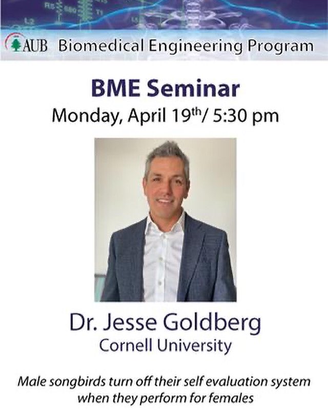 AUB_EMBS's tweet photo. As part of the BME seminar series for the Spring 2021 semester, this Monday April 19th@ 5:30, Dr. Jesse Goldberg from Cornell University will be going over male songbird's dopaminergic neurons. https://t.co/zeMwHat6ja
