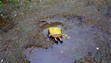 The first time Gulliver crashed on my island                         Vs              Now