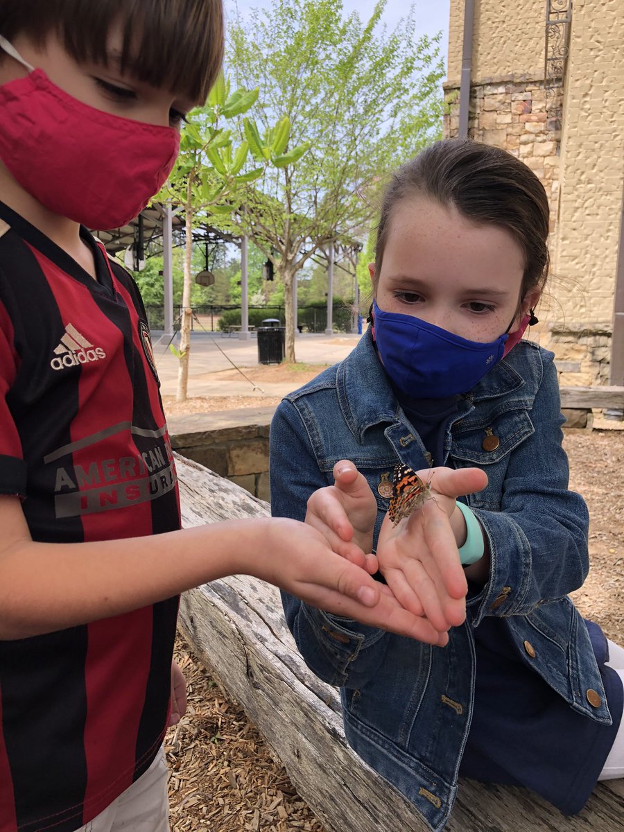 Jennie Rountree tweet media