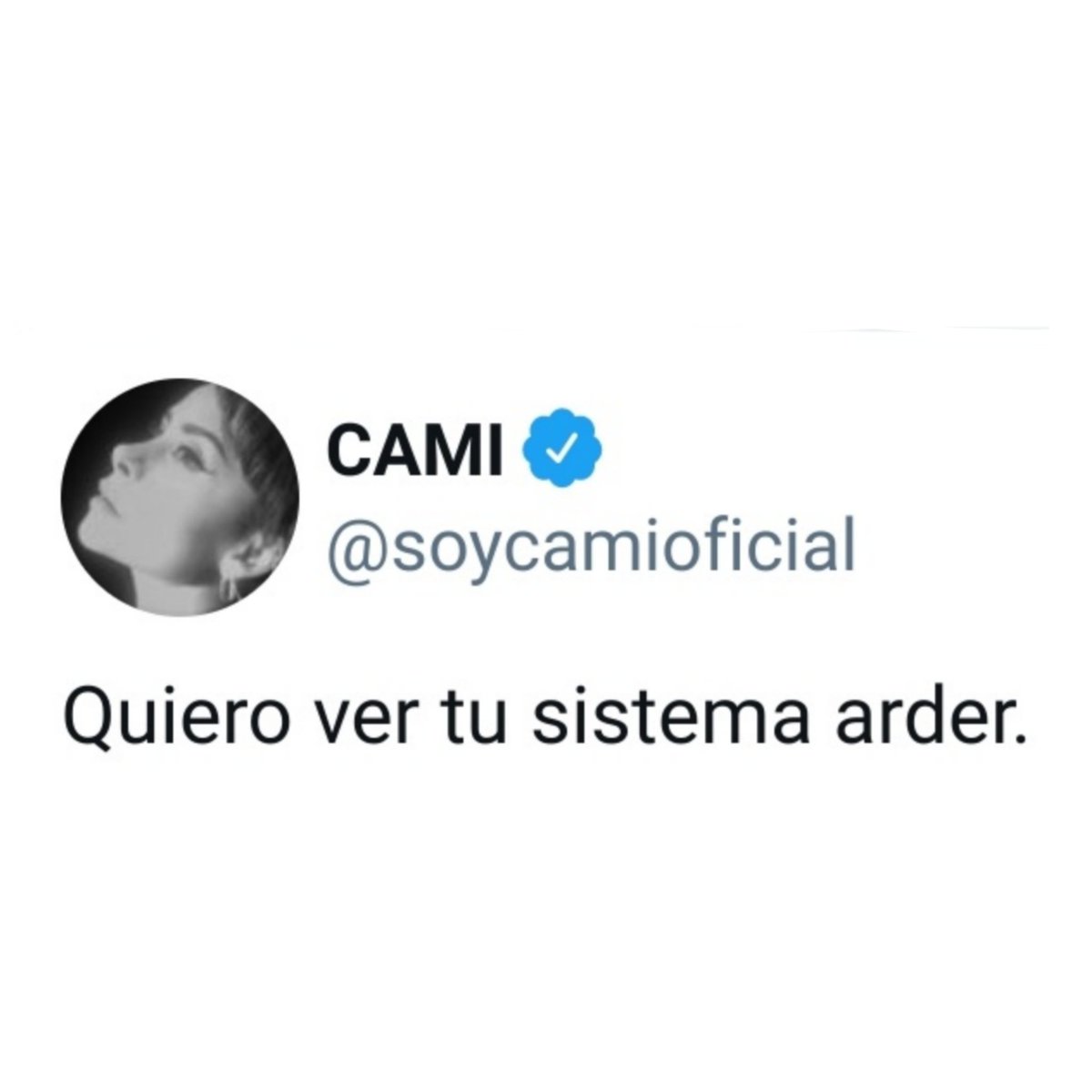 AxelWonderland's tweet photo. Creo que la Cami Gallardo se refería al sistema de salud. https://t.co/Ccz0pehMOK