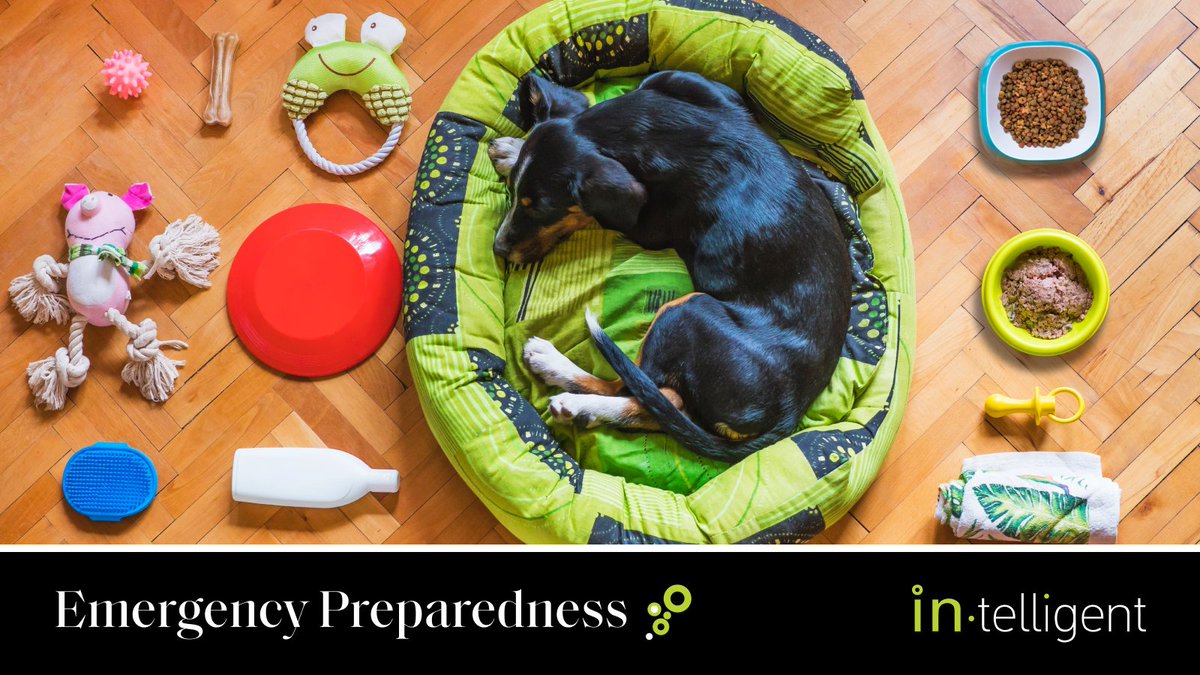get_intelligent's tweet photo. Being prepared for an emergency means considering the needs of every member of your household - including your pets! In your emergency kit, be sure to include items for your furry friends to help keep your pet calm and comfortable.

#PetSafety #EmergencyPreparedness https://t.co/nQyf9gtIqK