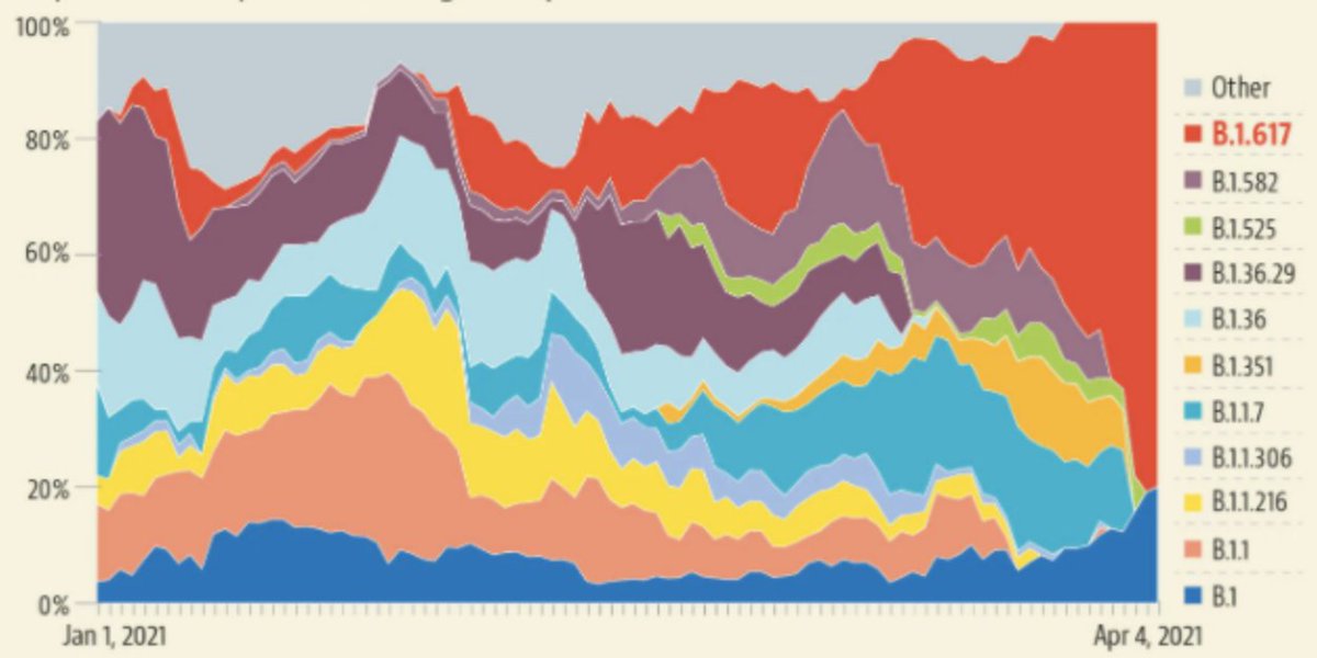 3/ En Inde, B.1.617 est passé de 24% en moyenne sur 2 mois à 80% début avril. Il se transmet de manière significativement plus grande que B1.1.7, donc. https://www.hindustantimes.com/india-news/double-mutant-now-most-common-of-variantsdata-101618512310963.html