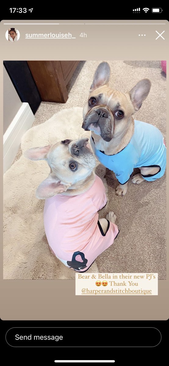 Harper & Stitch Frenchie Boutique tweet media