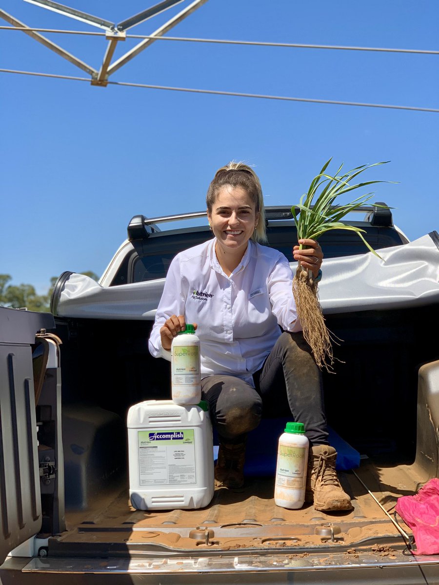 Stephen Sexton tweet media