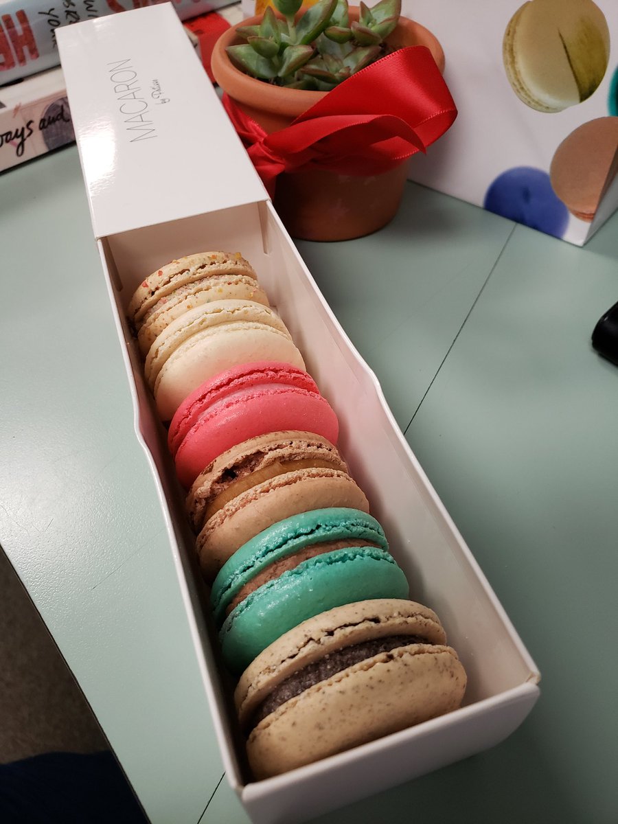 Libros with Love (@libroswithlove) on Twitter photo Thank you to our Student Council for the macarons and succulent for National Librarians Day!! #aldinelibraries #AldineAnywhere <a href="/Aldine9_AISD/">Aldine Ninth Grade School</a> Thank you to our Student Council for the macarons and succulent for National Librarians Day!! #aldinelibraries #AldineAnywhere <a href="/Aldine9_AISD/">Aldine Ninth Grade School</a>