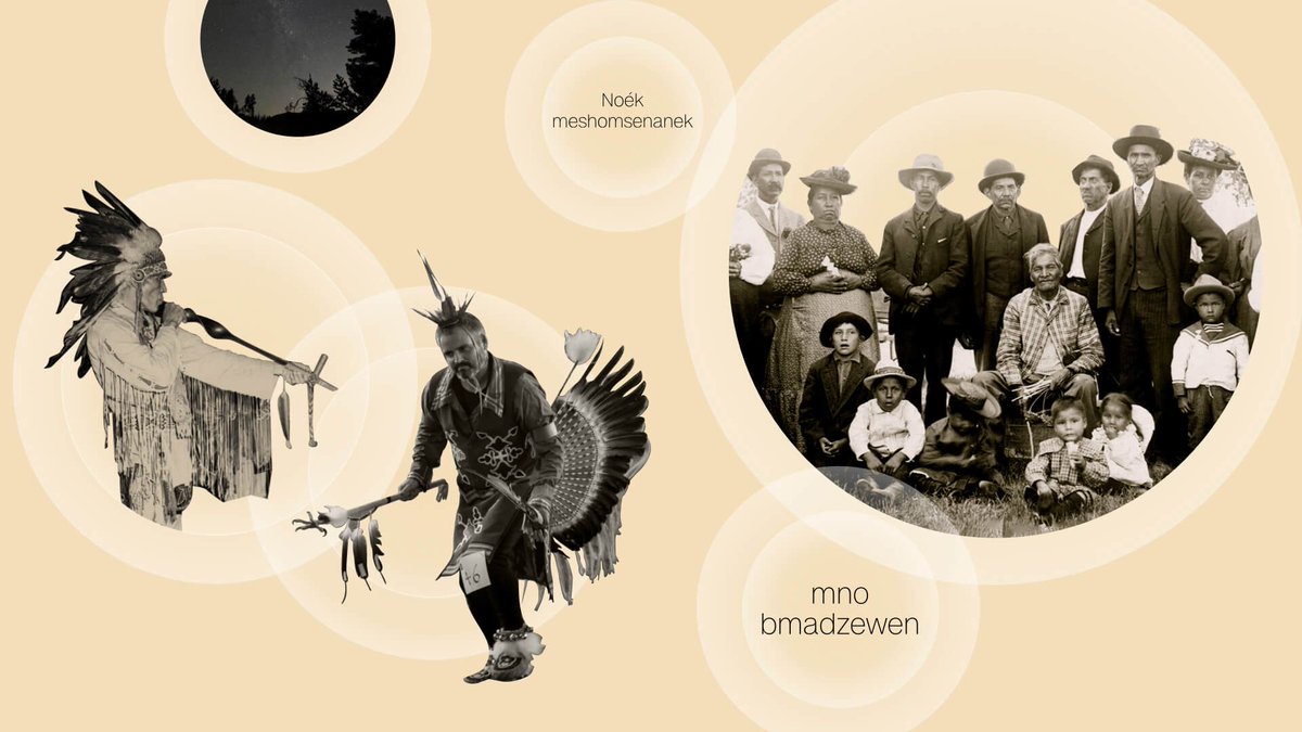 lingdiscovery's tweet image. Losing languages, losing words - an audio exploration of language endangerment cnn.com/interactive/20… #LanguageEndangerment #EndangeredLanguages #language #languages #Native #Indigenous #linguistics #LinguisticDiversity