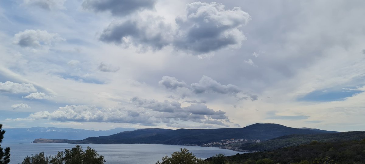 Suzana Delic (@suzana_delic) on Twitter photo 