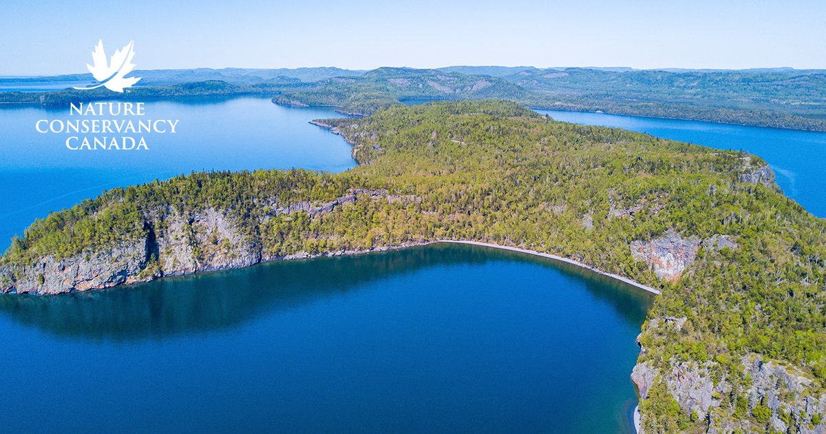 NCC_CNC's tweet photo. Join NCC for Making Nature Investable. Can #NatureBasedSolutions mobilize capital to address climate change &amp; biodiversity loss? Ft. Minister @JonathanWNV &amp; UN Special Envoy @MarkJCarney, the forum gathers leading voices on conservation financing. Sign up: https://t.co/S1bSl0H4aF https://t.co/QBdkOfXF2p