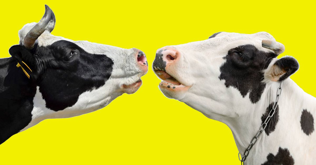 _Kymera's tweet photo. Do you know what drama game this image represents? Let us know your guesses 😉
#moo https://t.co/EmlRIYOXWB