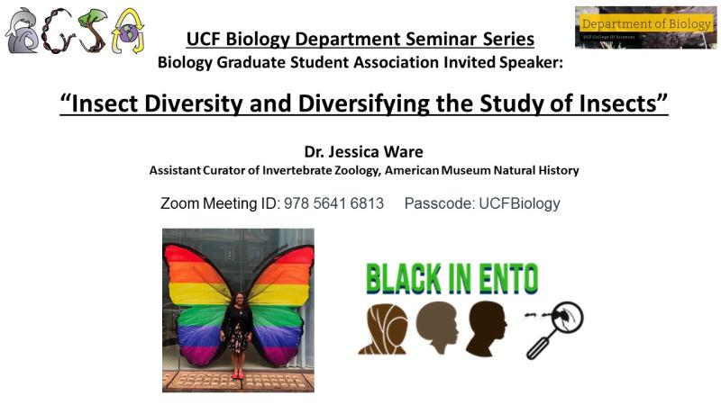 entoscf's tweet photo. The UCF Biology Department is hosting a presentation by entomologist Dr. Jessica Ware this Monday! Zoom link can be found in our Twitter bio! https://t.co/yGjppd6X58