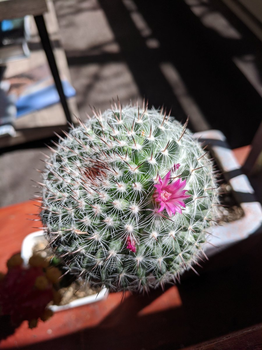 Jordan Boersma tweet media