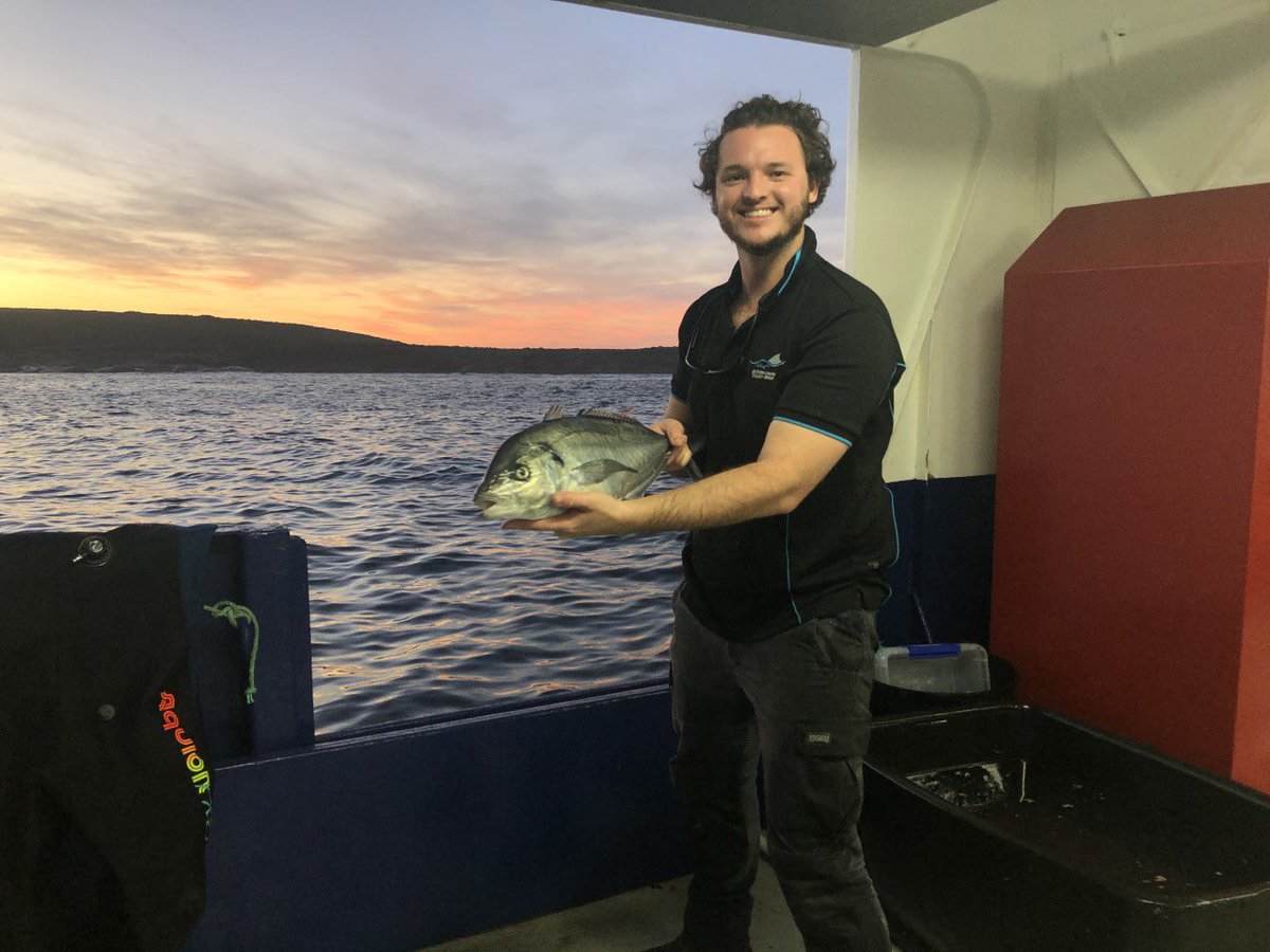 Congrats to @JDennis_Sci for receiving a student award from Holsworth ESA towards his PhD project on non-target species in wildlife tourism (trevally sp. at the Neptune Islands) Thanks @EcolSocAus @SAEnvirWater @sharkcagediving @RodneyFoxShark @swimwithabc for support