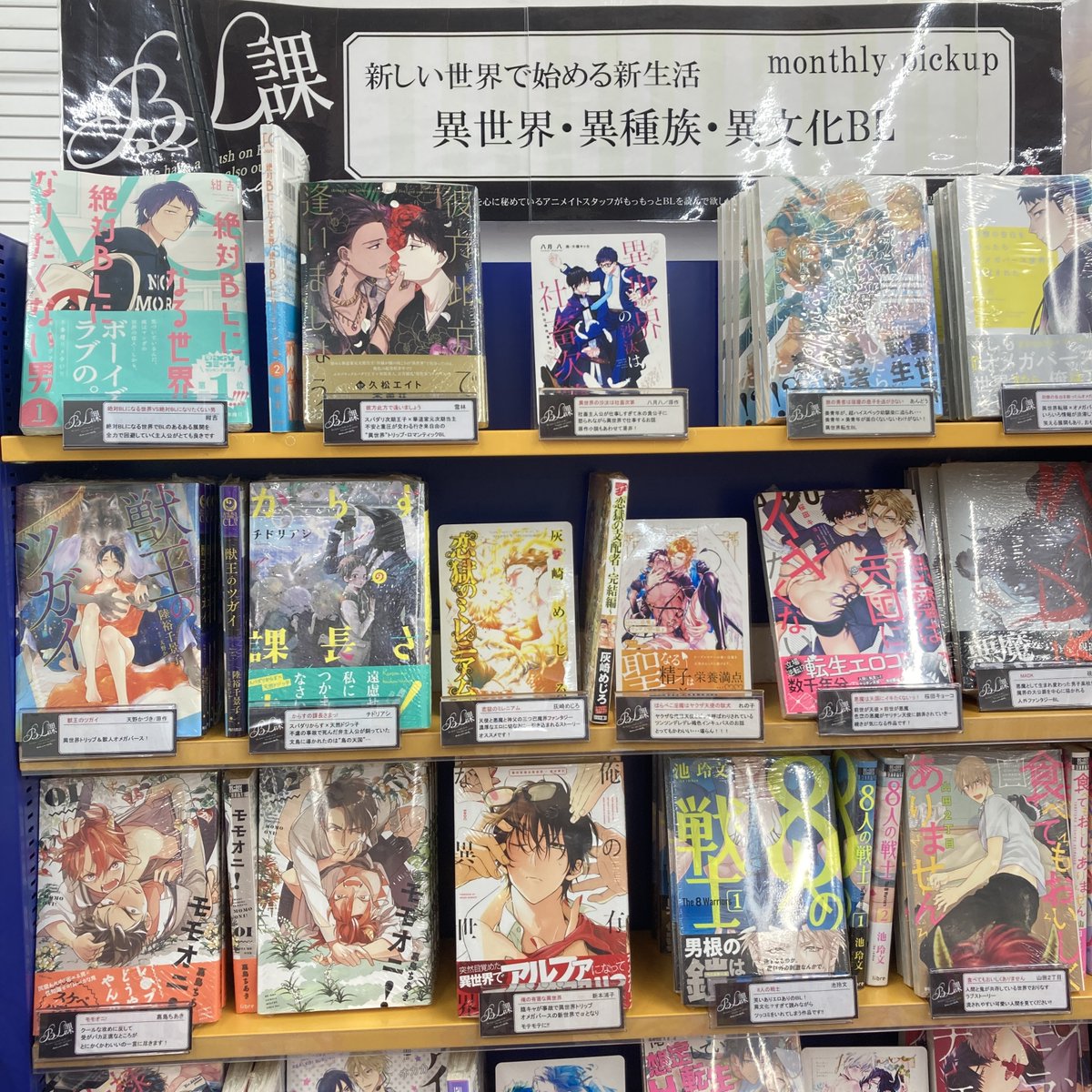 アニメイト高崎 店舗受取りサービス を使ってみようキャンペーン開催中 コーナー情報 Bl課コーナー更新 今月の Bl課 のテーマは 異世界 異種属 異文化bl ルマ 高崎店スタッフおすすめタイトルは 硯遼 先生 ｍａｄｋ です 他にも