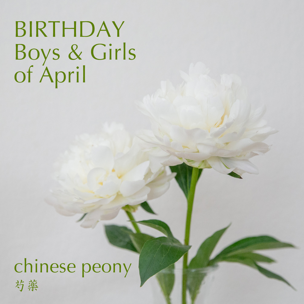 Misaki Matsui 松井みさき 写真映像作家 V Twitter 4月生まれの方へお誕生日 お祝いとして 立てば芍薬 座れば牡丹 歩く姿は百合の花 茎の先端に咲く芍薬は立って 横向きに咲く牡丹は座って 風に揺れる百合は歩きながら見るのが美しいという説があるようです