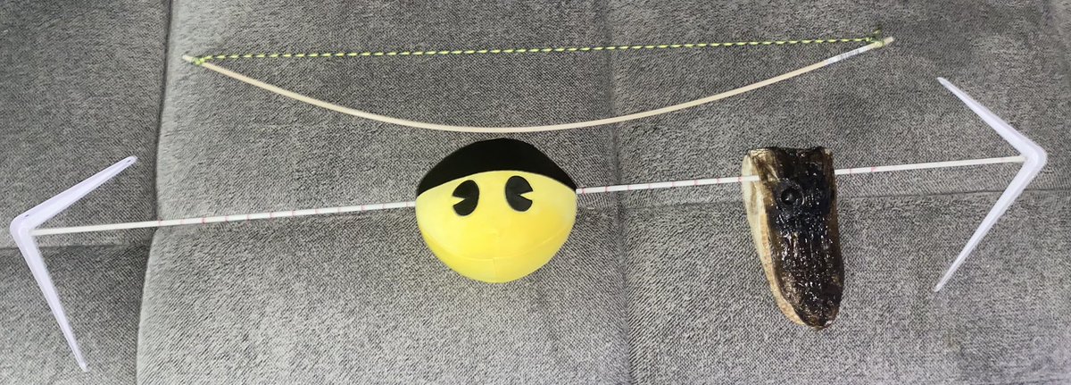 jacob_reeser's tweet image. We need to stop teaching the alligator/PAC-Man. Instead teach the kids that arrows show the direction that the numbers are going, right is greater and left is less than. Use the number line to teach the kids how to use it to compare numbers. This will be a reminder on my wall.