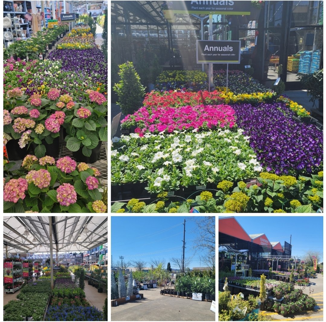 Justin Bashans (@jbashans) on Twitter photo LIVE GOODS!! LOOKIN LIVE THIS FRIDAY :) its a great day to have a great day!!!!!!! <a href="/MrBoles2/">MrBoles</a> <a href="/RyanWoodTHD1/">Ryan Wood @THD</a> <a href="/Bselch/">Brianna Selch</a> <a href="/kyle_mckinnon12/">π
Ίππ
»π
΄ π
Όπ
²π
Ίπ
Έπ
½π
½π
Ύπ
½</a> <a href="/Sutherland214/">Marcus Sutherland</a> <a href="/kyle_mckinnon12/">π
Ίππ
»π
΄ π
Όπ
²π
Ίπ
Έπ
½π
½π
Ύπ
½</a> <a href="/EileenFerrarin/">Eileen Ferrarin</a> LIVE GOODS!! LOOKIN LIVE THIS FRIDAY :) its a great day to have a great day!!!!!!! <a href="/MrBoles2/">MrBoles</a> <a href="/RyanWoodTHD1/">Ryan Wood @THD</a> <a href="/Bselch/">Brianna Selch</a> <a href="/kyle_mckinnon12/">π
Ίππ
»π
΄ π
Όπ
²π
Ίπ
Έπ
½π
½π
Ύπ
½</a> <a href="/Sutherland214/">Marcus Sutherland</a> <a href="/kyle_mckinnon12/">π
Ίππ
»π
΄ π
Όπ
²π
Ίπ
Έπ
½π
½π
Ύπ
½</a> <a href="/EileenFerrarin/">Eileen Ferrarin</a>