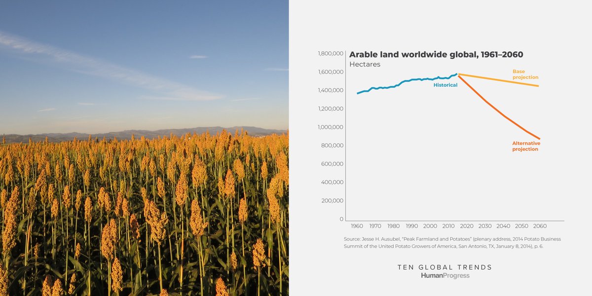  The amount of land devoted to food production may soon begin to fall as population growth slows and agricultural productivity increases.Researchers predict 146 million hectares will return to nature by 2060.Read more:  http://tenglobaltrends.org  #78DaysOfProgress(16/78)