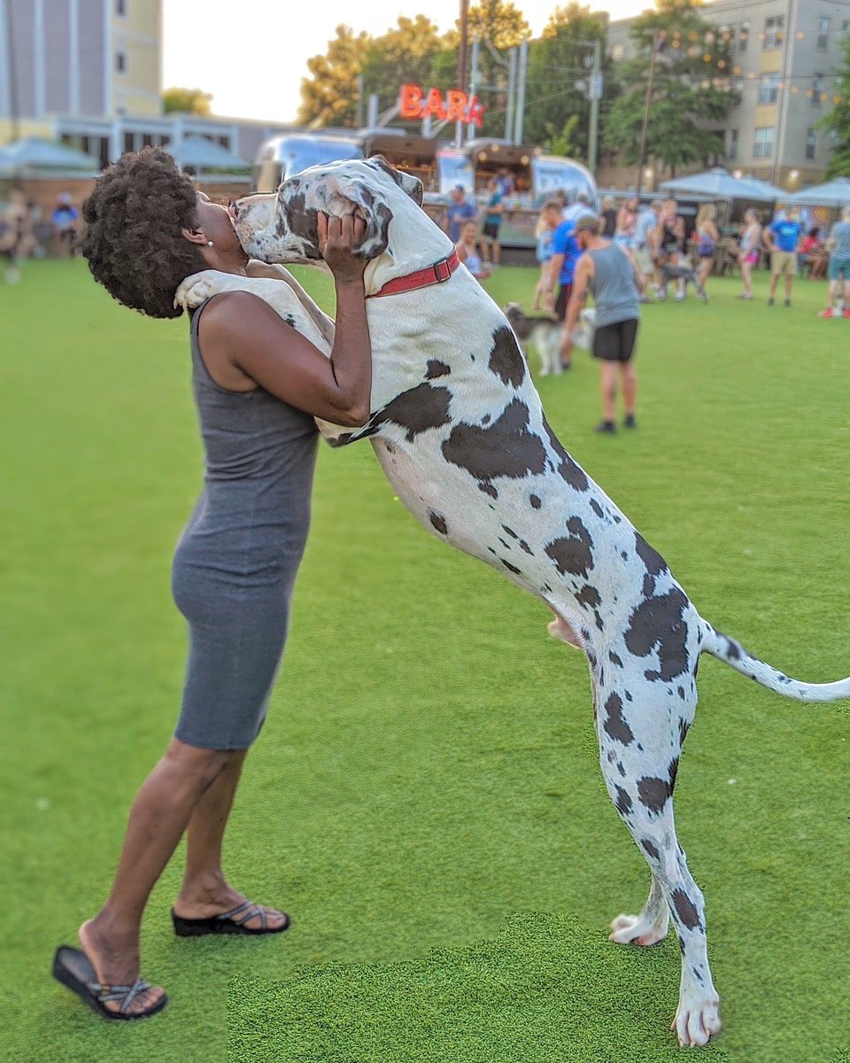 theworksatl's tweet photo. Fetch IS HAPPENING! @FetchParkAtl is opening its first Westside location at #TheWorksATL later this year, featuring a full-service bar and plenty of green space for your pups to run around and play. Learn more via @WhatNowAtlanta: https://t.co/VI2mfvNZX6 https://t.co/SSOOOxGSiZ