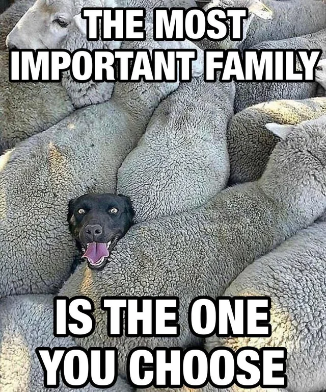 JohnRMartin9's tweet photo. The most important family is the one you... https://t.co/BxXsEUwBhQ
