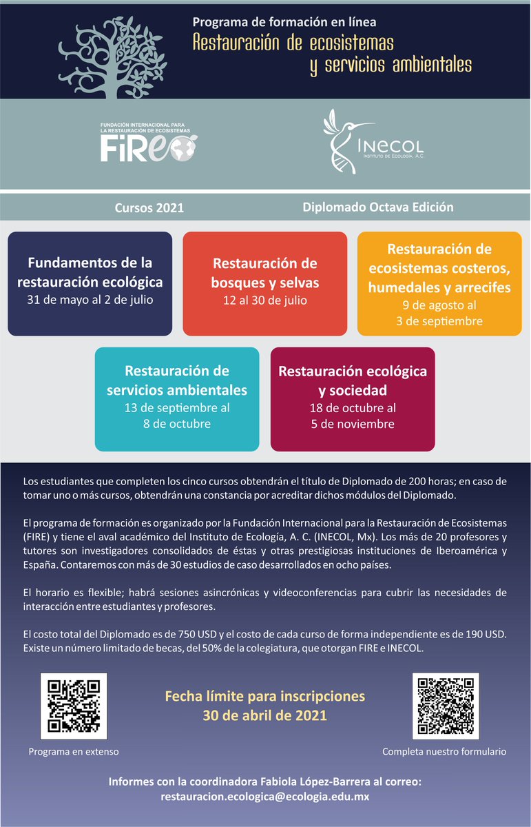 QuidNoviMX's tweet photo. Octava edición del diplomado en Restauración ecológica, ahora en línea @Inecol_mx #Recomendado https://t.co/rR3qfseGDg