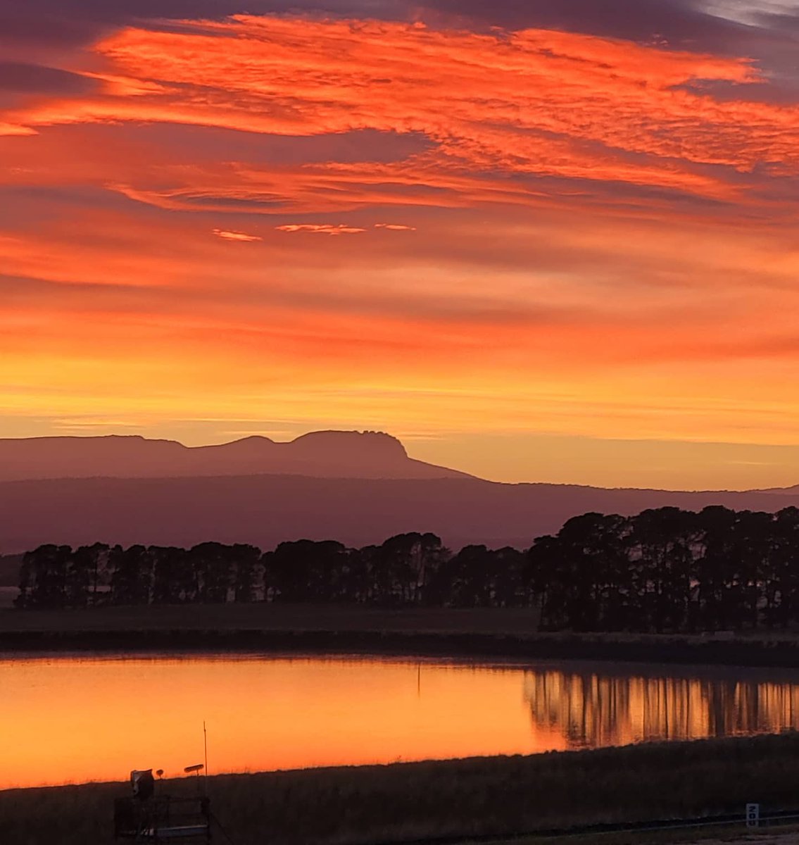 twointasmania's tweet photo. Excited for the V8 Supercars to be back in Tassie. As we wait for entrance to the Park &amp; View area, it's been a pretty magic sunrise. https://t.co/pr3nYf93FK