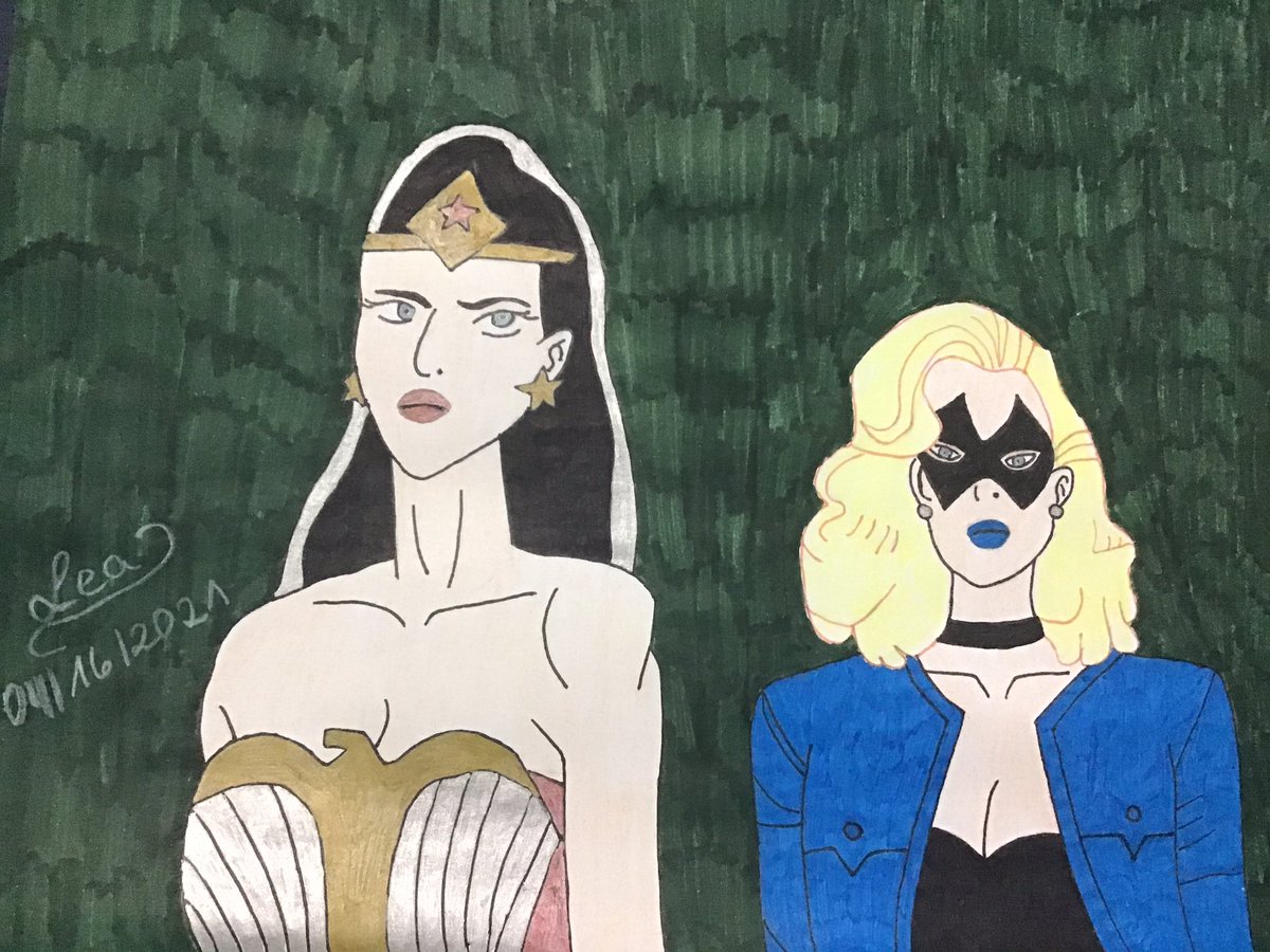 Surprise painting!🤗 Hope you like it. Today I painted Wonder Woman (@Stana_Katic ) & Black Canary (@elysiarotaru ). #JSWWII @SuperPRGuy