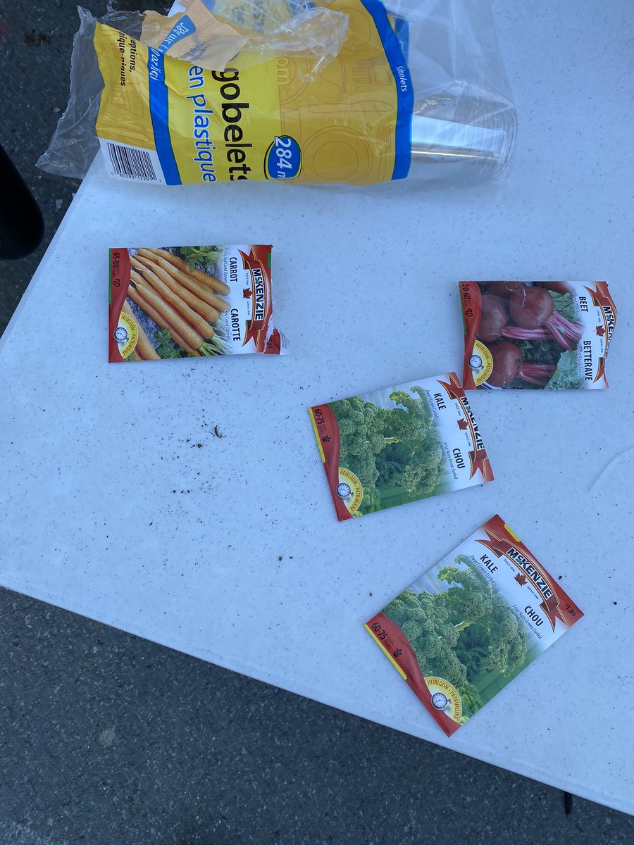 Beautiful day to get Div 4. outdoor garden going. Exploring the scientific method through the natural environment. Looking forward to the vegetables afterwards! 🍅 <a href="/jmcconville1000/">James McConville</a> <a href="/Kirsten_SD43/">Kirsten Paterson</a> #sd43