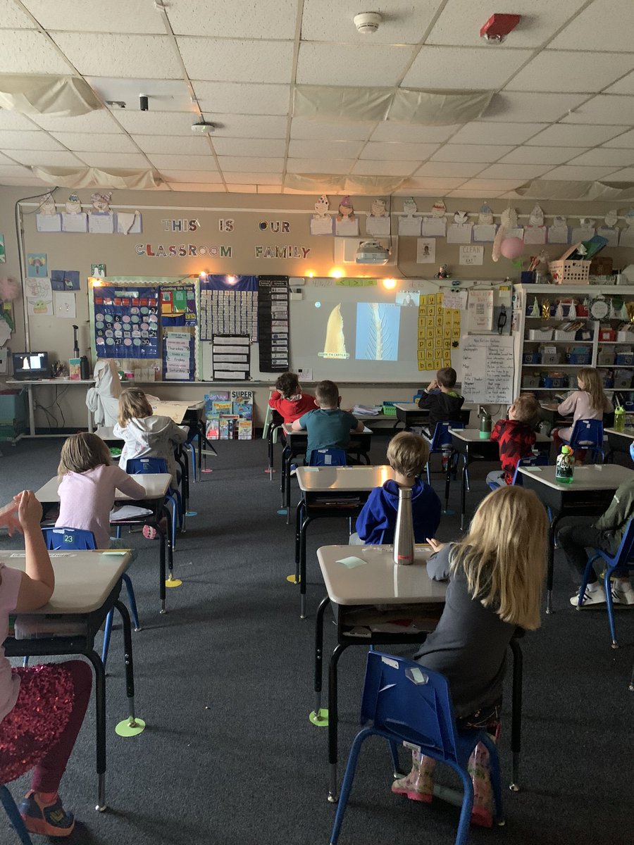 BassettsFirsts's tweet photo. We had a JAWsome shark expert from Scotland share so many cool facts about sharks! Our first graders are so ready to start their shark book. Thank you... @Sharks4Kids https://t.co/FuwnZ0Dvf3