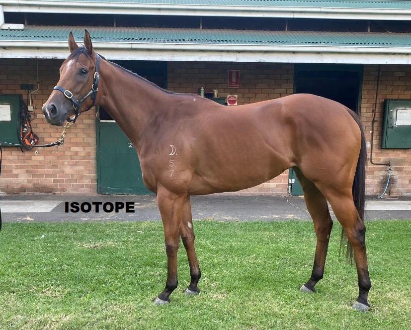 Black_Soil_Bsk's tweet photo. 🚨 RUNNER ALERT

🏇 ISOTOPE
➡️ @tonygollan
➡️ Randwick, Race 6, Group 2 Arrowfield 3YO Sprint, 1200m, 2:25pm.
➡️ Ryan Maloney (54.5kg), Barrier 3.

For the latest update in her blog visit https://t.co/Gp6vP9YgBa https://t.co/yICvWMaTD2