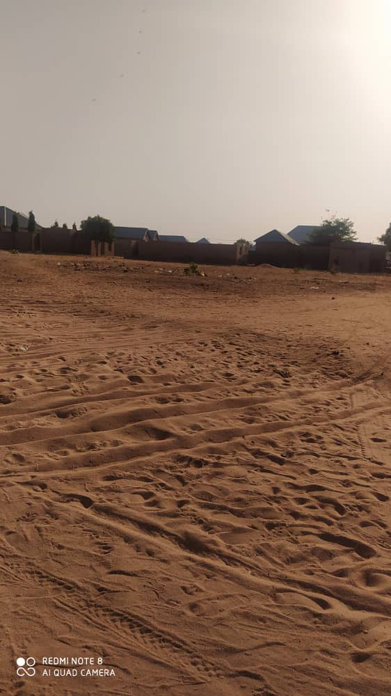 DaNextPlace1's tweet photo. #Gombe #tunfure Land For Sale

For more details follow the link below:
https://t.co/qIJ0HCqt4J

#danextplace
#landforsale https://t.co/y7LyXk8odK